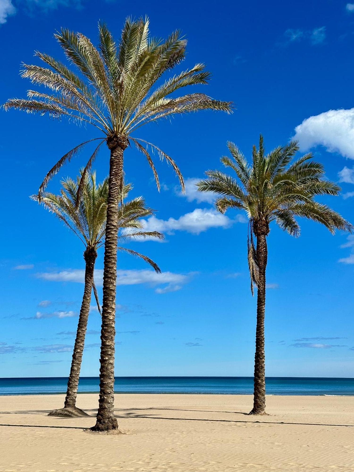 Apartamento Mar&Menta Cullera Extérieur photo